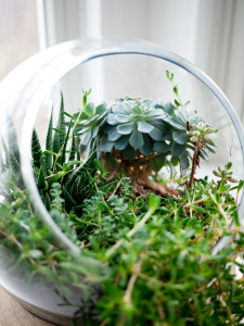 Feature-Image-2-