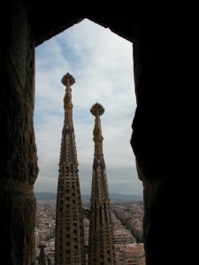 DSCN0937