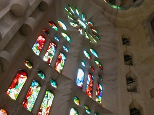 DSCN0953