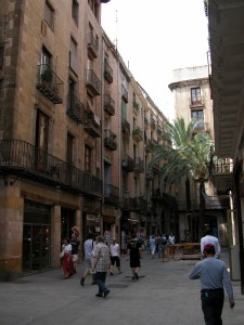 DSCN1031