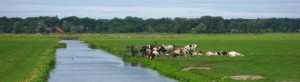 IMG_0591
