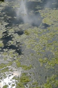 P1000331